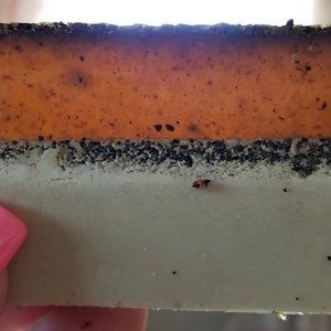 100% Organic & natural handmade soap - Haz. Coffee